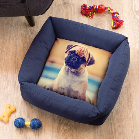 Cuccia soft cane e gatto personalizzata